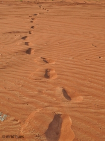 No, it's not Martian lands......its just my giant steps on the gravel sands there!